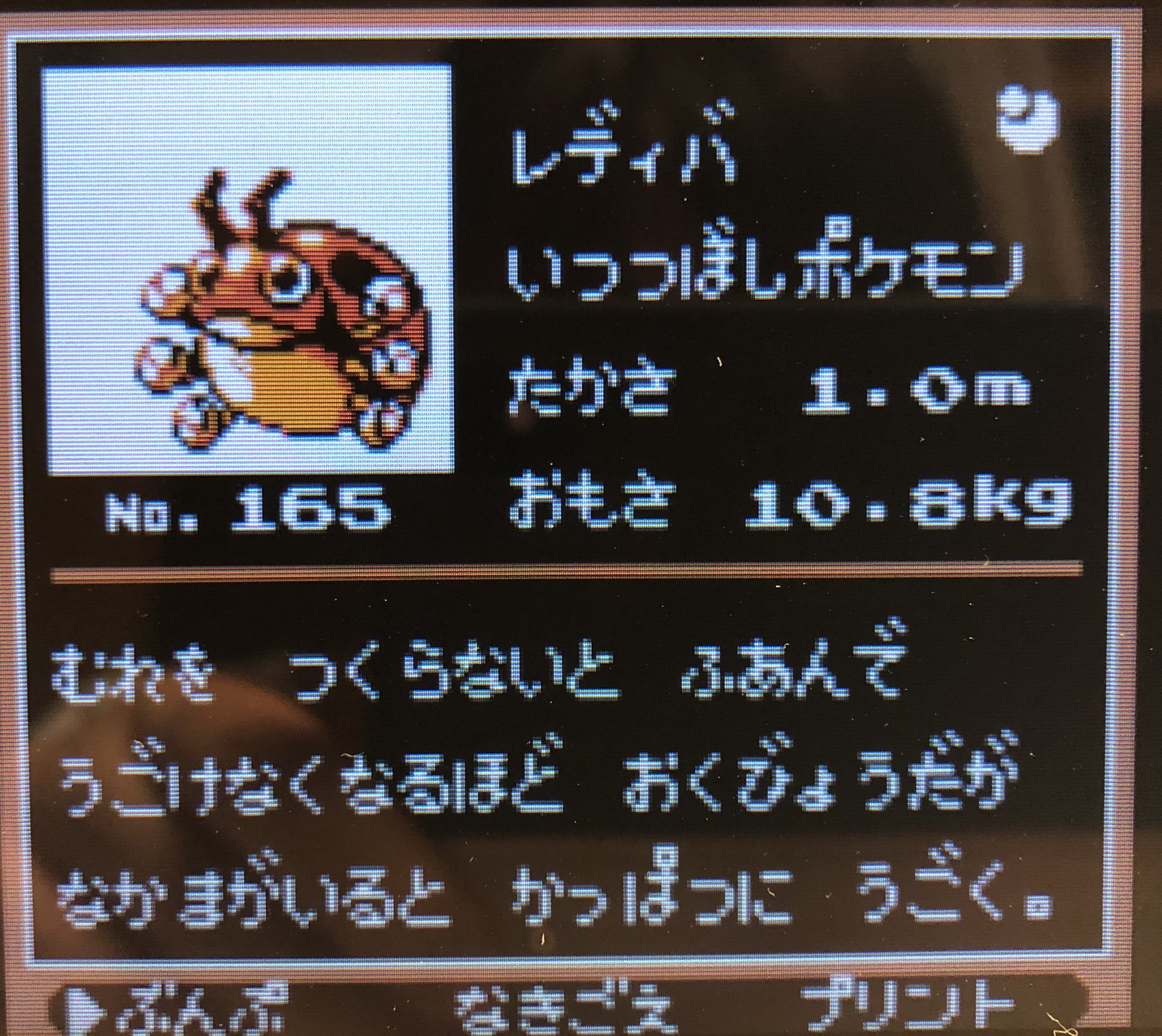 ポケモンプレイ日記 Twitter