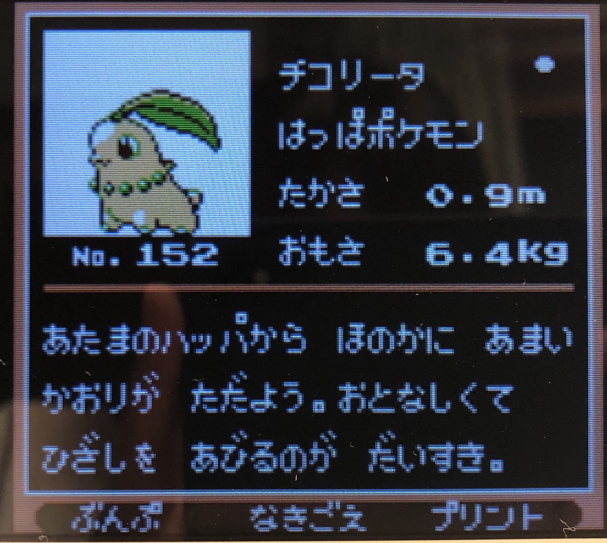 ポケモンプレイ日記 Twitter