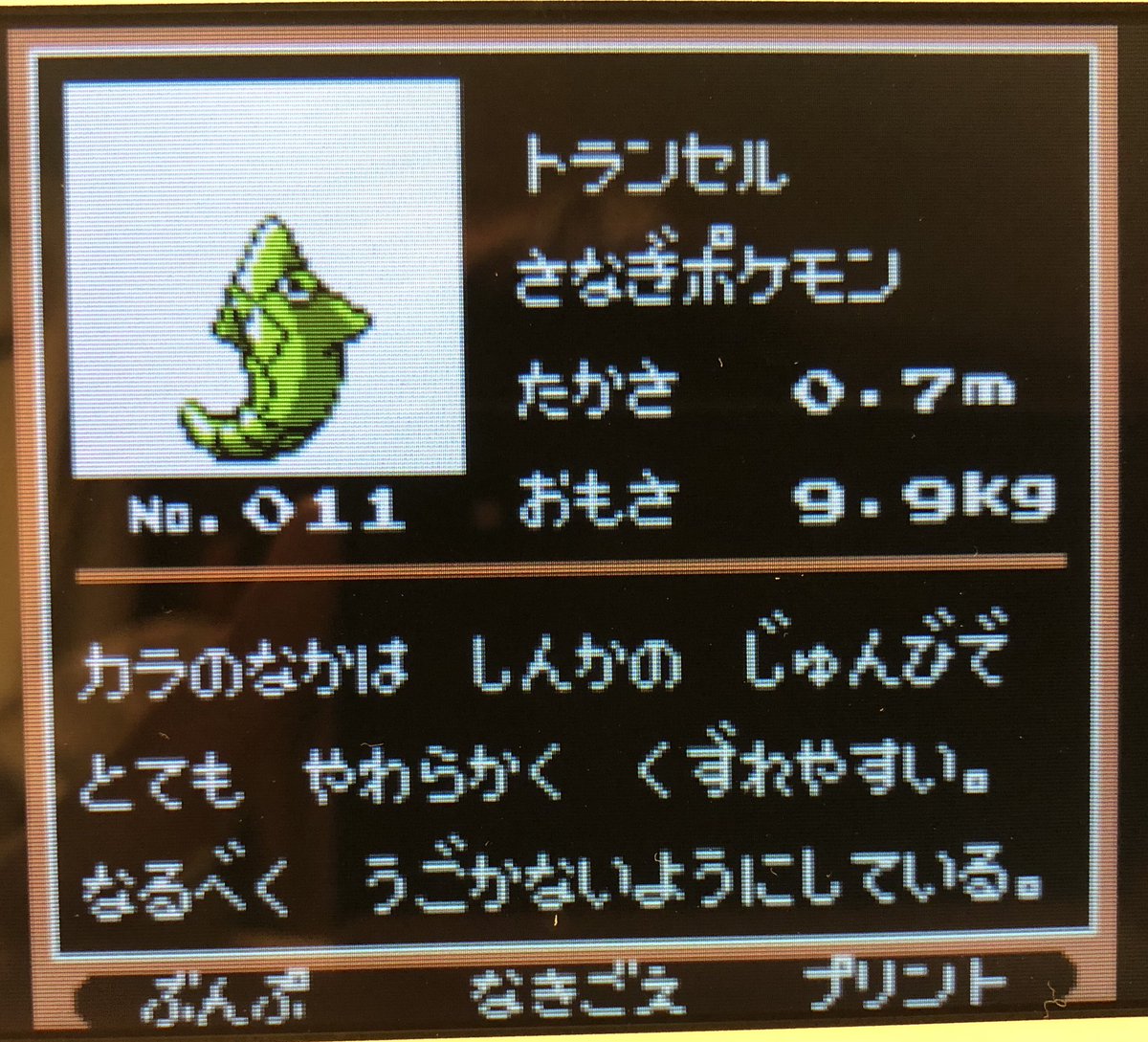 ピカなな ポケモンダイパ プレイ中 立ち直れない気持ちのまま少し進めた金verです トランセルを進化させながら マダツボミの塔でゴースをget ホーホーのみやぶるの有り難みを感じた ポケモン Vc金 ポケモンプレイ日記金ver