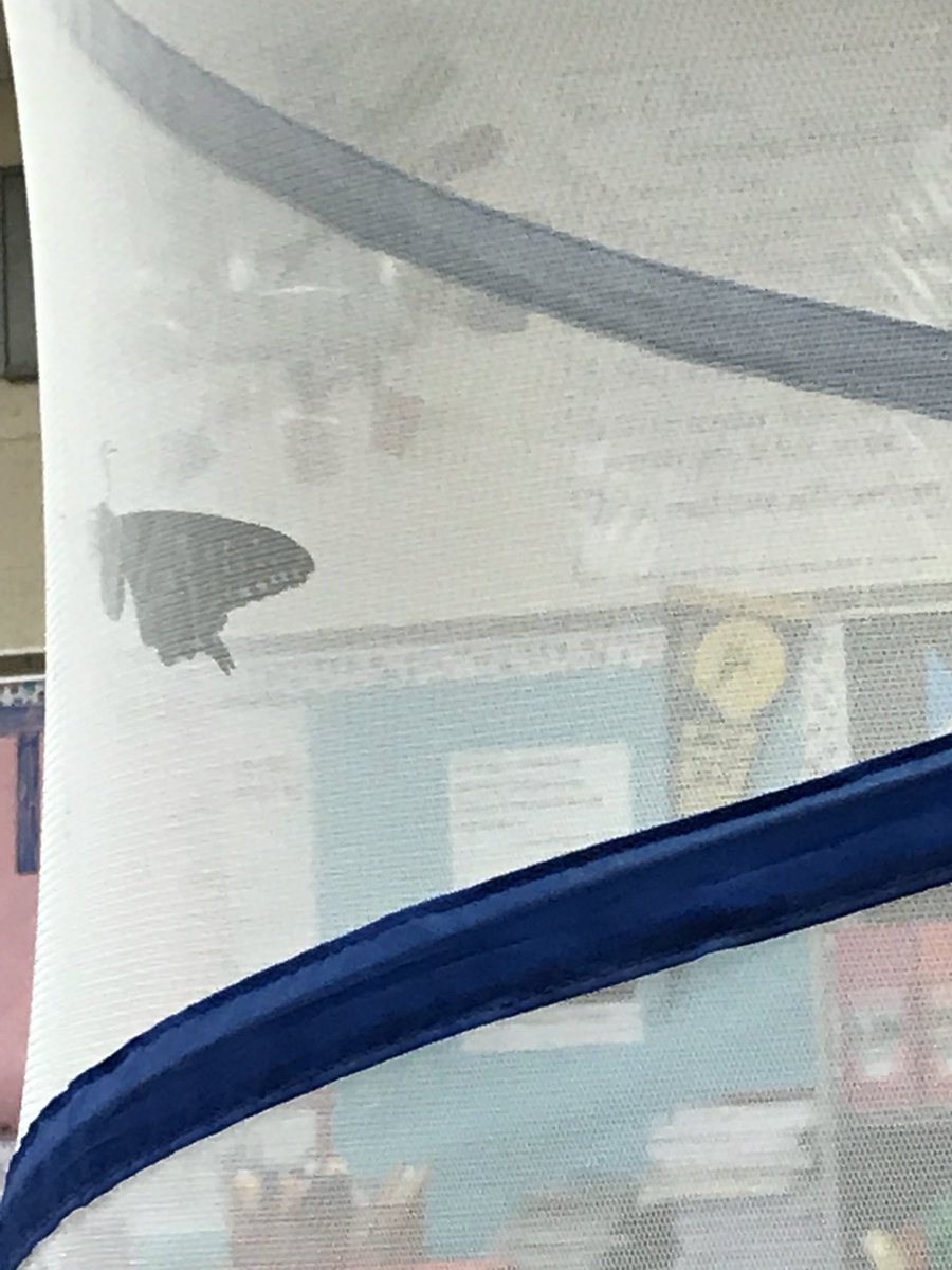 Kirsten Riggert tweet media