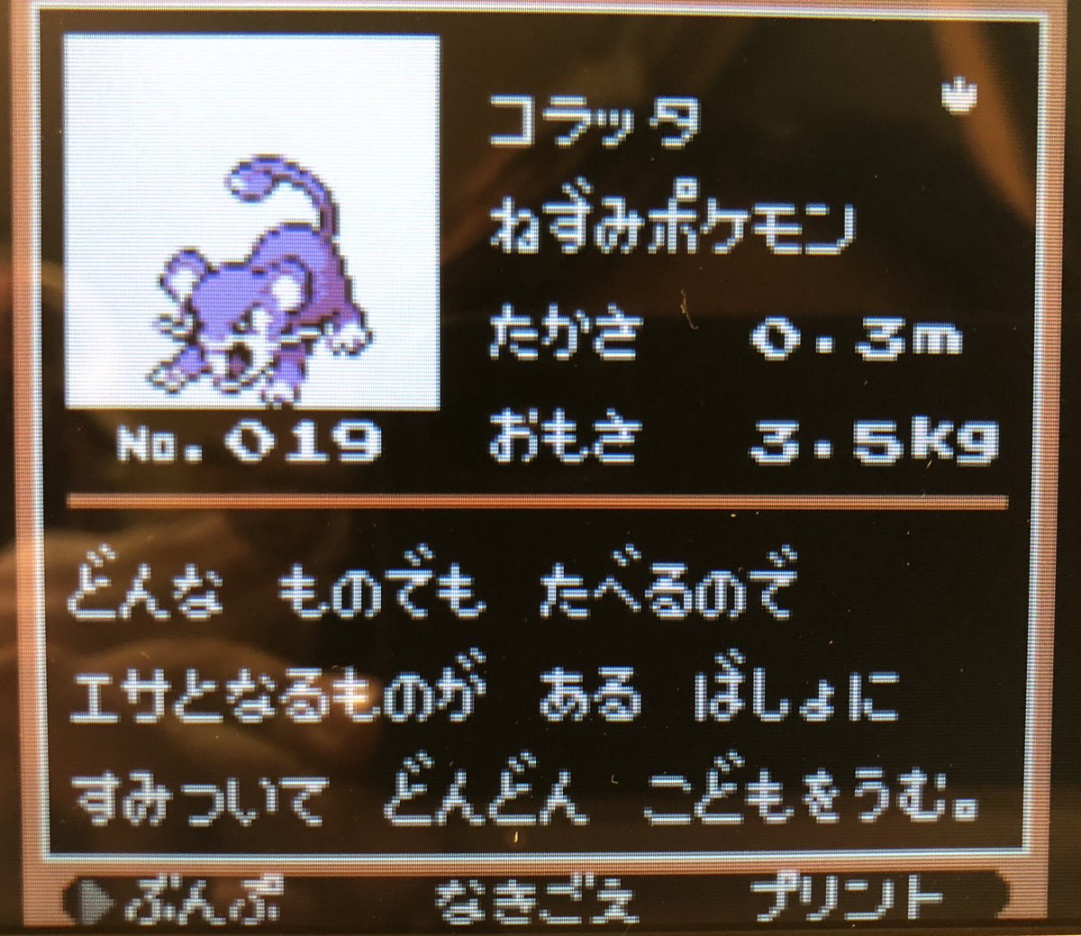 ポケモンプレイ日記