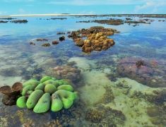 ET_abroad's tweet photo. Volunteer in Indonesia with helping to save sea turtles https://t.co/hTraRLvLZV
#Indonesia #Asia #Volunteer #SeaTurtles #Travel #SecretIslands #Wanderlust https://t.co/cVzpjP3Jlh