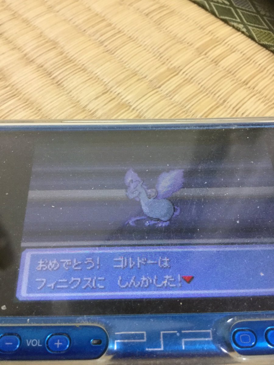 ポケモンプロキオン Op Twitter ポケモンプロキオン Op Twitter