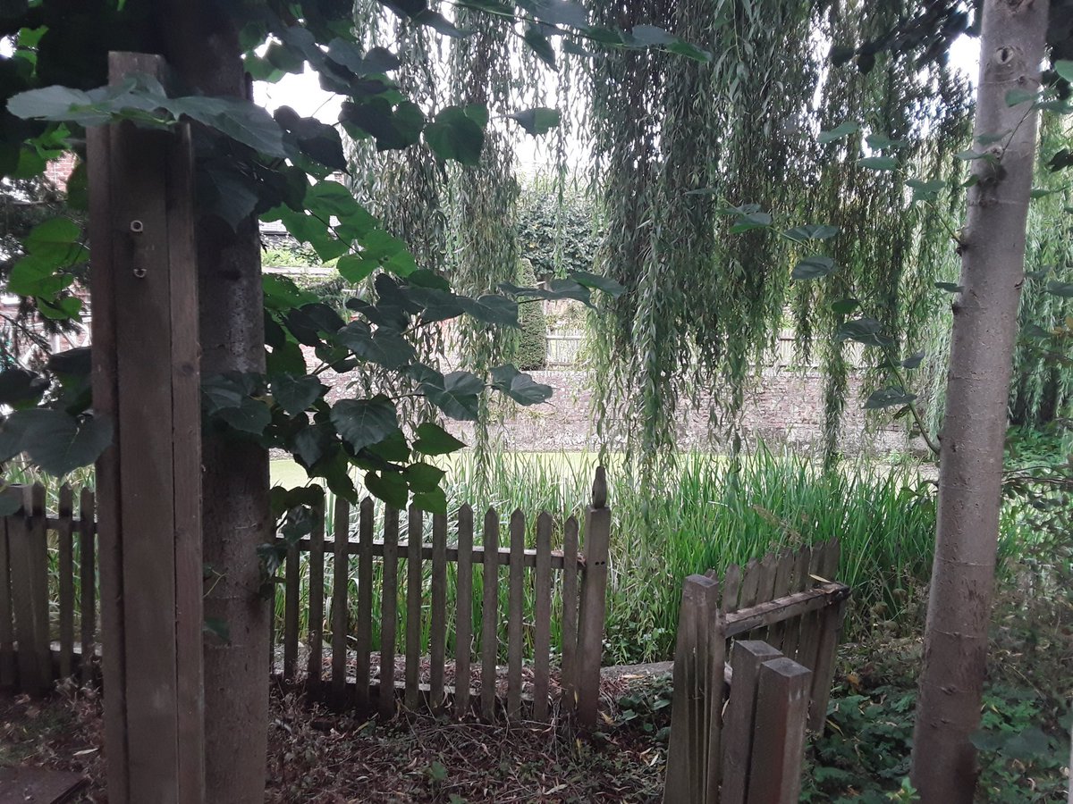 Secret Cask tweet media