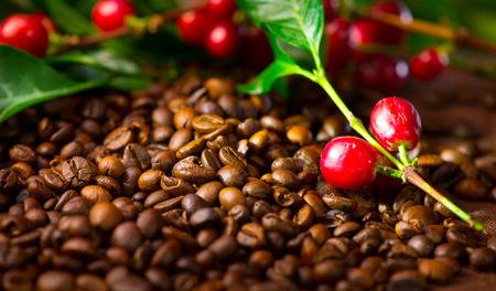 oaueventz's tweet photo. Coffee is grown commercially in Hawaii!!!
#ObserverFacts #OAUObserver https://t.co/ugzO6SbqtL