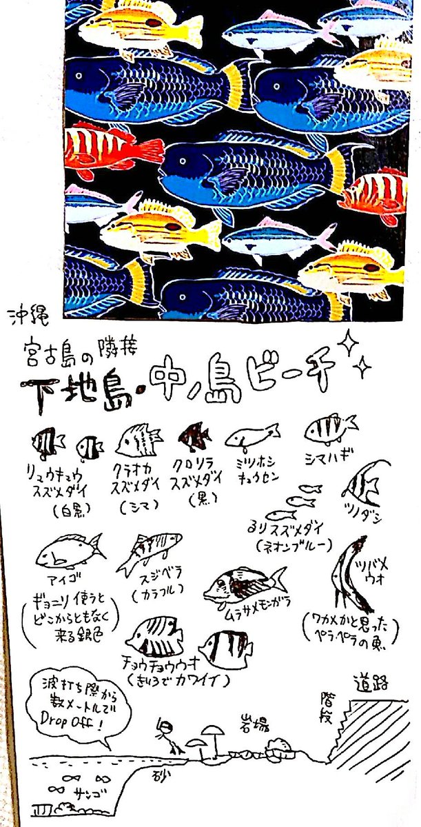 沖縄・下地島の「中ノ島ビーチ」
シュノーケリングすごく良かったです。
熱帯魚いっぱいで、魚肉ソーセージ(餌)使うと視界が魚まみれになって前が見えない程です。
肩幅大の大きい魚が多いのも良い！
更衣室やシャワーは無いので、ガチのシュ… 