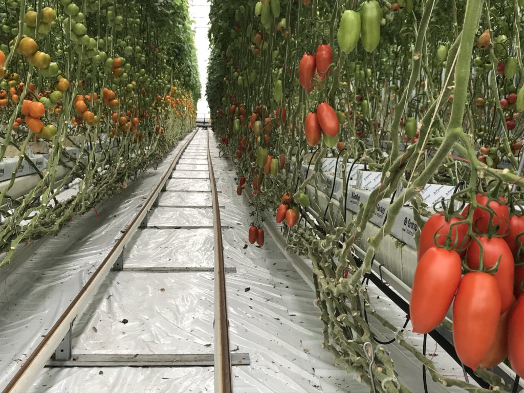 CombiVliet-Agro Care tweet media