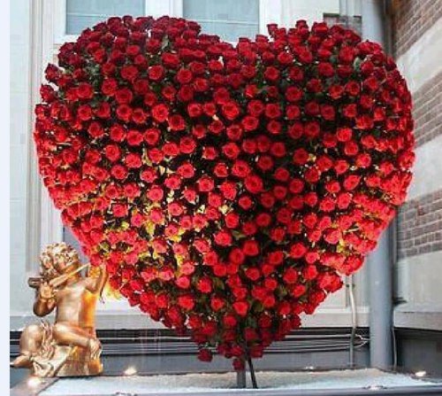 Reaumur2105's tweet photo. @OlgaSEMrush 
С днем рождения.
Самую добрую, самую светлую,
Очень красивую, сердцем волшебную,
С тонной терпения и вдохновения
Жажду поздравить я без промедления.
Пусть прочь уходят все мысли печальные,
Пусть счастье будет твое нескончаемым,
Пусть только радостным будет волнение. https://t.co/VX6CMmmBT8