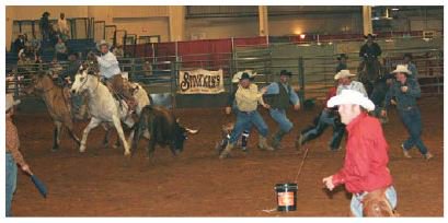 VisitDuncanOK's tweet photo. Horse Fair this weekend at the Stephens County Fair &amp; Expo Center. Check https://t.co/UWUhwzRnzT for details. https://t.co/4RY99WPB89