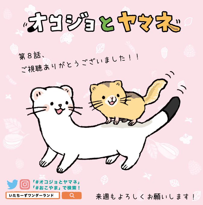 注目 画像ツイート オコジョとヤマネ 8ページ目 アニメレーダー