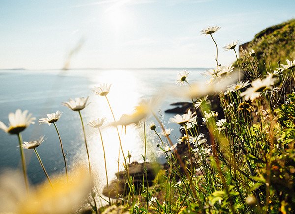 The best spa days guaranteed to heat up your summer bit.ly/2MNVINy #spa #spadays #summer #wellnessblog