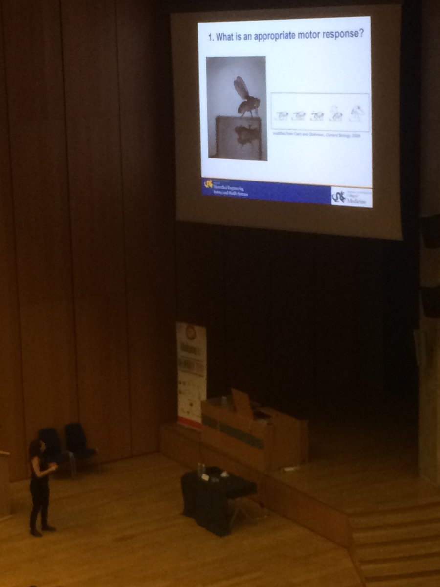 BFKLab's tweet photo. How does a fly take off? 2 modes identified and characterised anatomically and physiologically by Catherine von Reyn #Neurofly2018. Superbe https://t.co/eF74zNkmGj