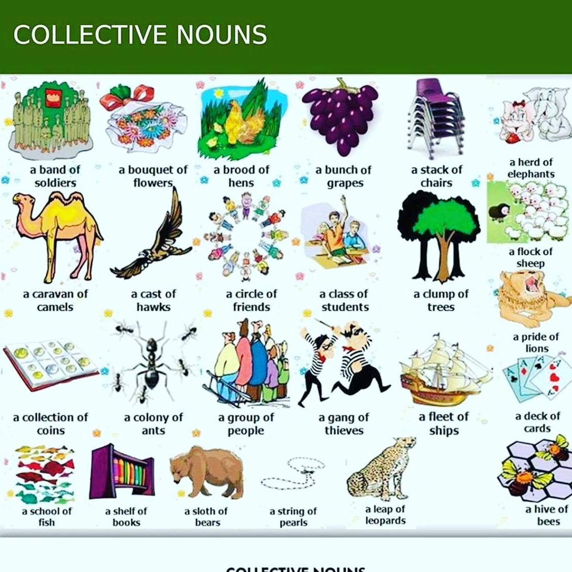 Nouns pictures. Collective Nouns in English. Collective Nouns exercises. Collective Nouns for people. Collective Nouns в английском языке таблица.