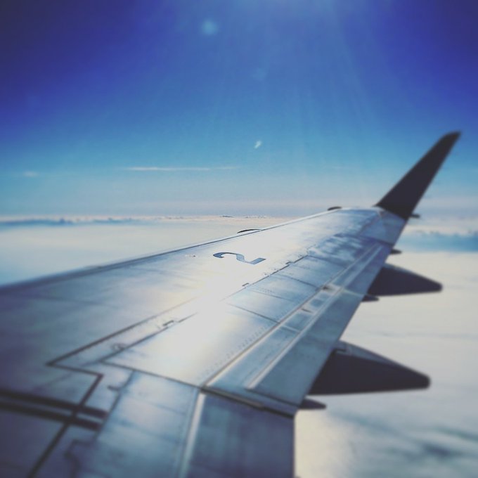 被災地に向けて心安らぐ画像を贈ろうのtwitterイラスト検索結果 古い順