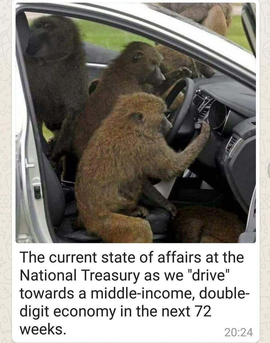 NasaRevolution's tweet image. So now that we are done with that, didnt he have a point? That we have so much monkey business we call governance?? 😕😕. It looks like our lives is in the hands of monkeys with loaded guns!! Our lives &amp;amp; the donkey &amp;amp; kunguru are the same!!