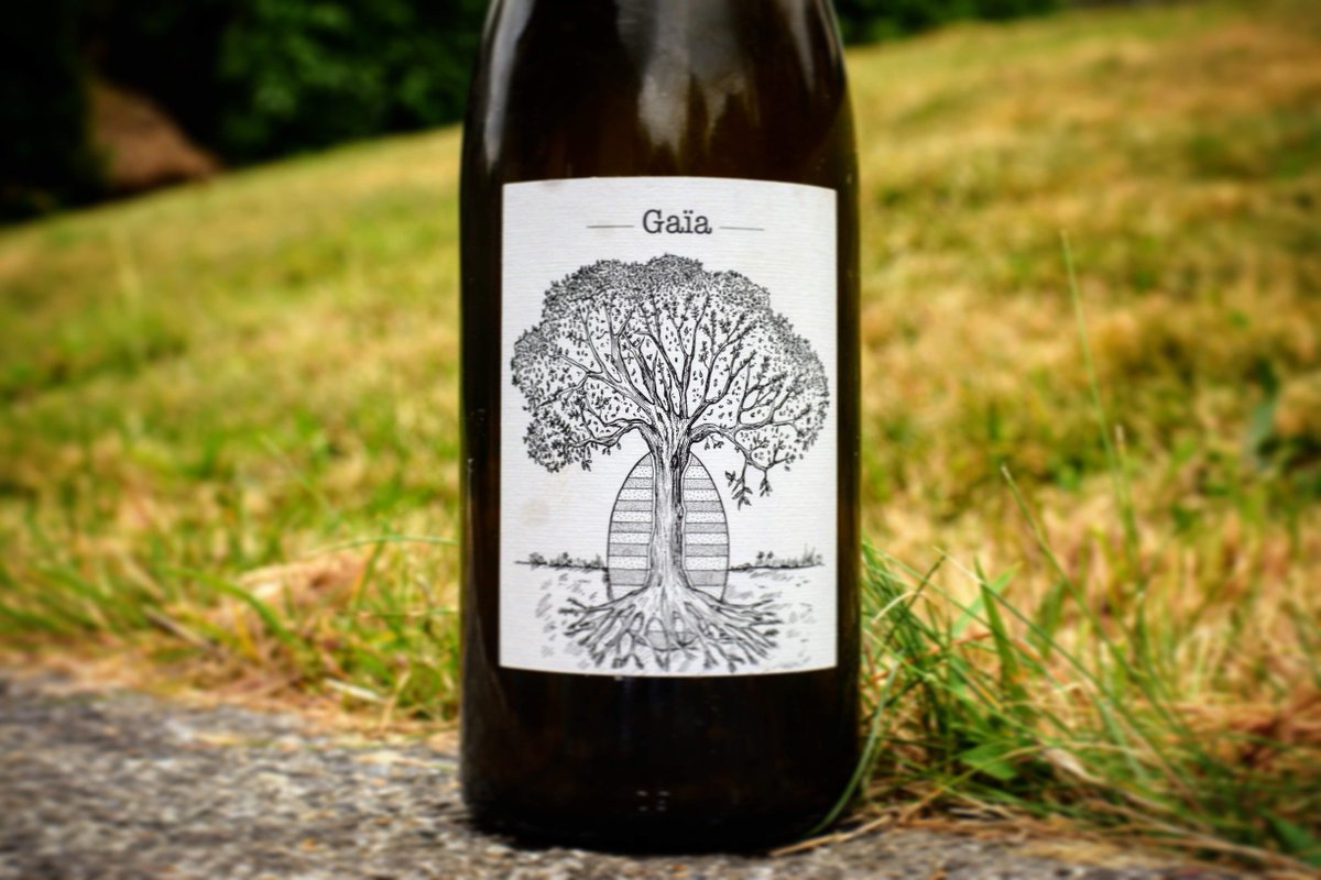 tuvasdeguster's tweet photo. 🍷Domaine de Bellevue, Gaïa 2016

▶️ https://t.co/wrMouk4UOl 

#muscadet #Loire #vin #winetasting https://t.co/EUSlGbg4hZ