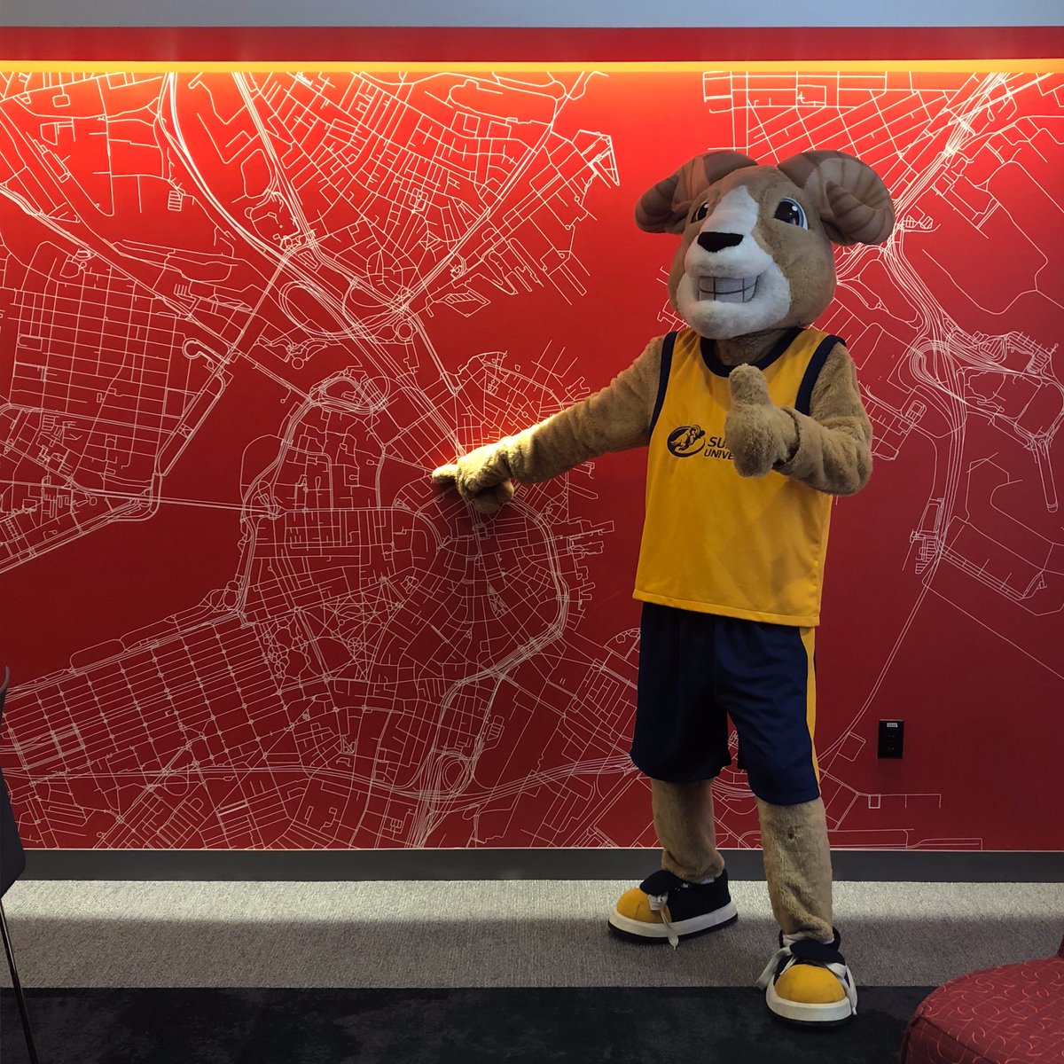 INTO_Suffolk's tweet photo. It’s been a busy week, but Hiram still made time to stop by the INTO Suffolk Center to say hello! 🐏 #INTOSuffolk #suffolkuniversity https://t.co/OpTEYZsRxl