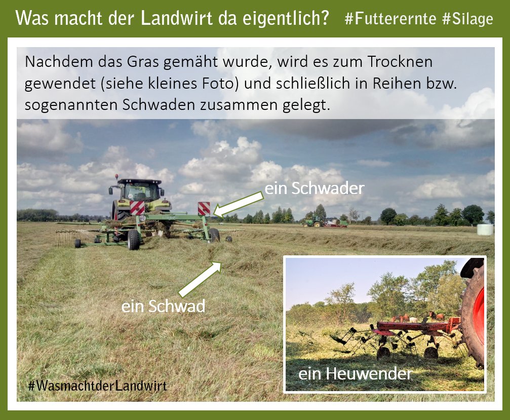 bauern_mv's tweet photo. #Marshmallow-#Ernte??? nein, natürlich nicht. Seht im Beitrag wie unsere Landwirte aktuell Futtergras für ihre Tiere ernten. #Tierfutter #Kuhfutter #Pferdefutter #Heu #Silage https://t.co/o1LobQfneU