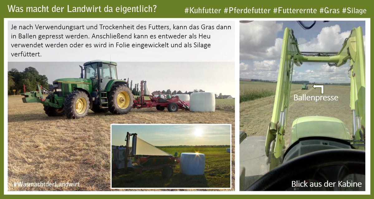 bauern_mv's tweet photo. #Marshmallow-#Ernte??? nein, natürlich nicht. Seht im Beitrag wie unsere Landwirte aktuell Futtergras für ihre Tiere ernten. #Tierfutter #Kuhfutter #Pferdefutter #Heu #Silage https://t.co/o1LobQfneU