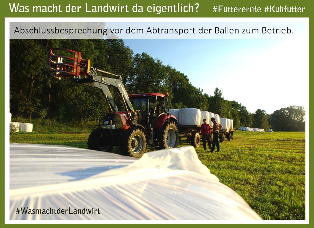 bauern_mv's tweet photo. #Marshmallow-#Ernte??? nein, natürlich nicht. Seht im Beitrag wie unsere Landwirte aktuell Futtergras für ihre Tiere ernten. #Tierfutter #Kuhfutter #Pferdefutter #Heu #Silage https://t.co/o1LobQfneU