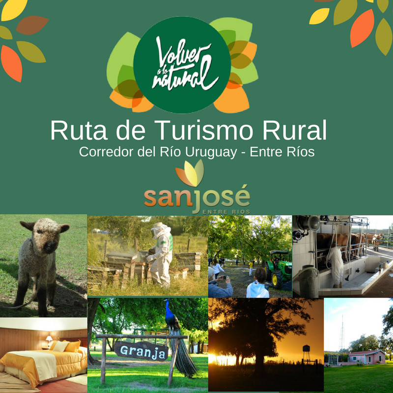 TurismoSJ's tweet photo. #SemanaDelTurismoRural
San José esta en La Ruta de Turismo Rural del Corredor del Uruguay "#VolverALoNatural".
Domingo 16 de Septiembre te esperamos en la 2º Feria #VovlerALoNatural de 10 a 18hs en el Paseo Turístico de los Nogales (Dir. Ruta 26 Km7) https://t.co/HitOnMzsZP