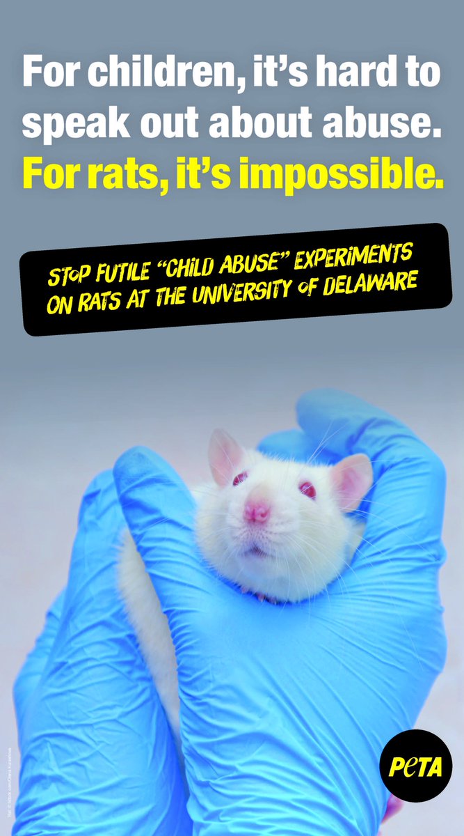 PETA 🐾 on Twitter "Experimenters at UDelaware claim to study child