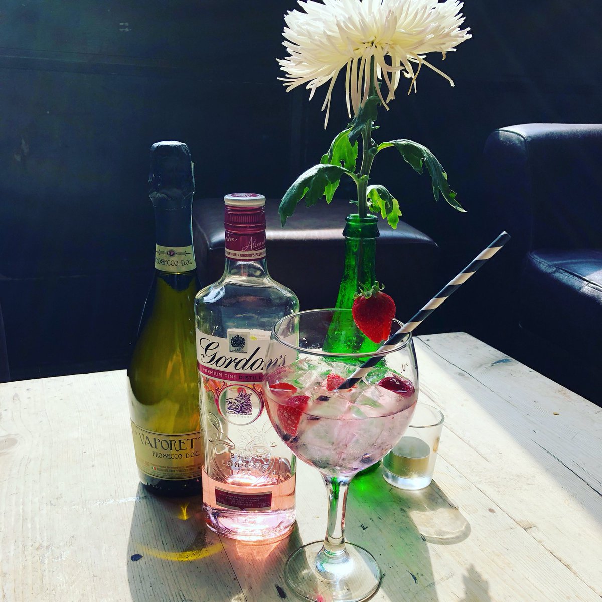 thomaskemppub's tweet photo. We are celebrating the slightly better weather at Thomas Kemp today with a pink gin cocktail #pinkgin #kemptown #cocktails #gordonsgin #Prosecco #brightonandhove https://t.co/KHMSUeE8CV