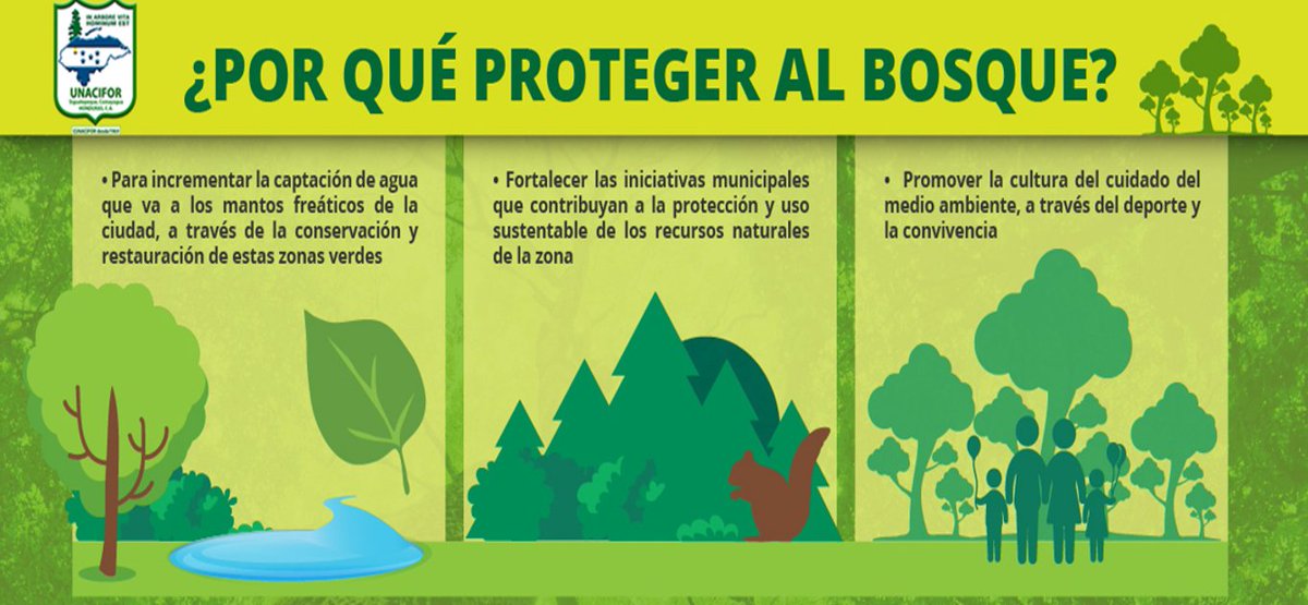 unaciforhn's tweet image. Conozcamos por qué es importante proteger al bosque. #UNACIFOR #OrgulloForestal 🌲🌳