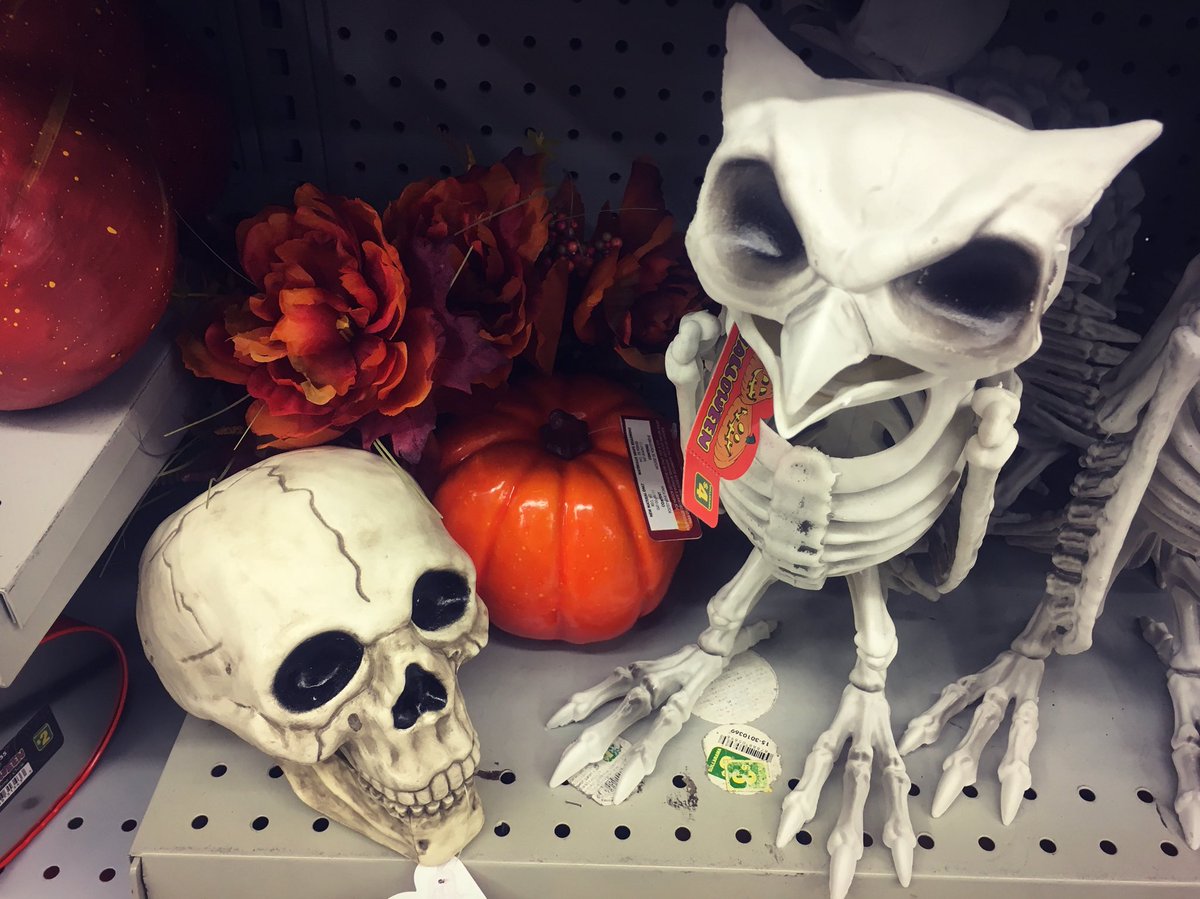 librarianonthgo's tweet photo. Sept 30: The day I asked my staff if it was too early for fall stuff ... because I bought these!!😍🍁💀 hahah #fall #fallready #fallincanada #autumn #worklife #happyhalloween https://t.co/TVmSAurPnt