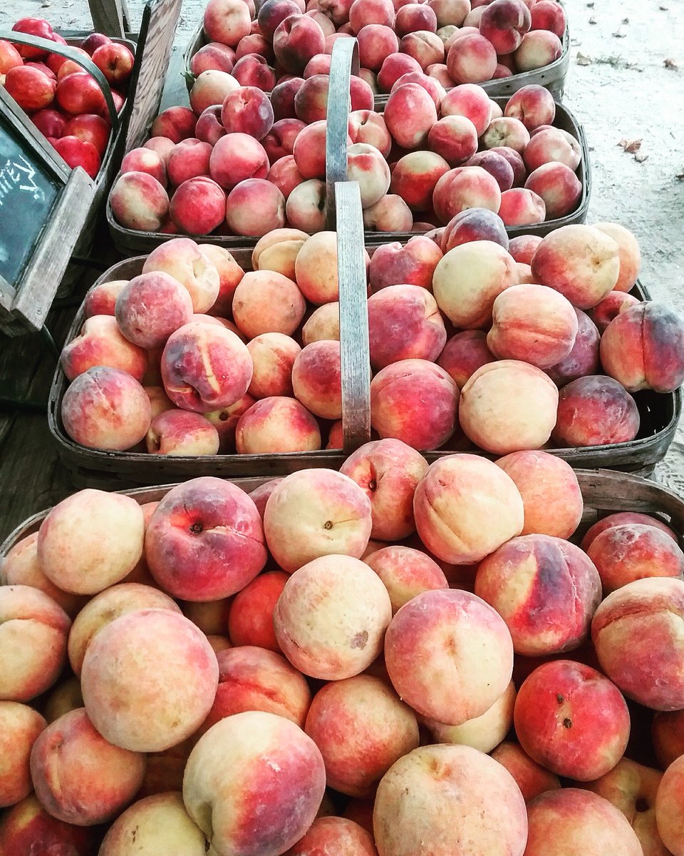 PikeFarms's tweet photo. Good Morning, #Sagaponack! We have some fresh 🍑’s to help keep you cool today 😎. #Summer https://t.co/bt5lVmBUmY