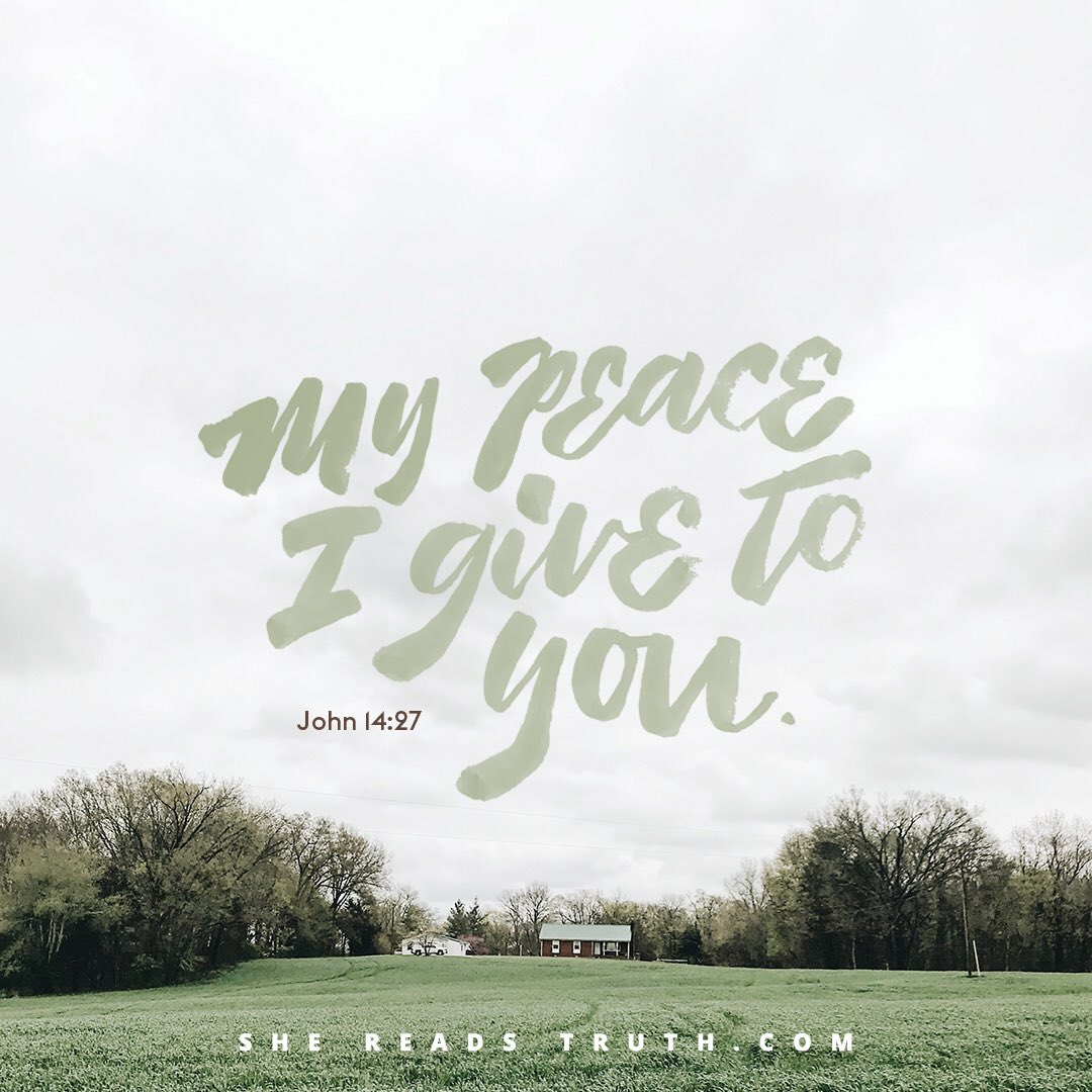 kimmcculley7's tweet image. ⁦@SheReadsTruth⁩ #PeaceBeStill