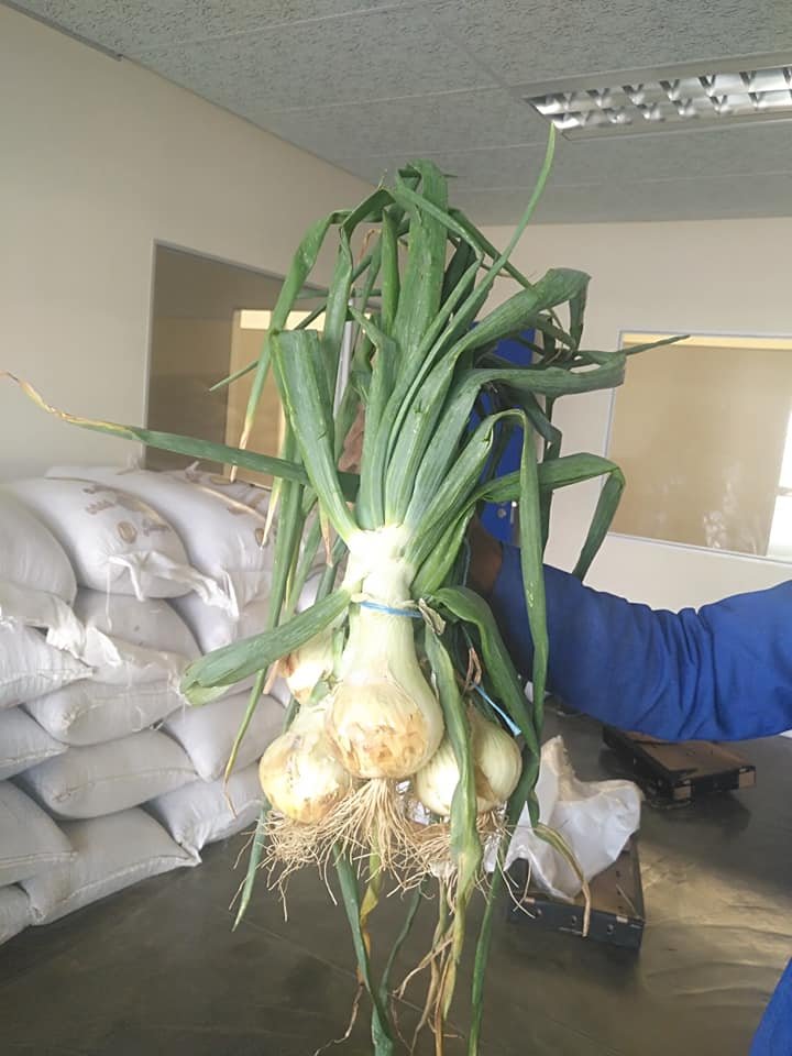 AGRIBUSDEV's tweet photo. Namibian Products- Come get yours currently  available at Head office in Windhoek https://t.co/omgL71Offd