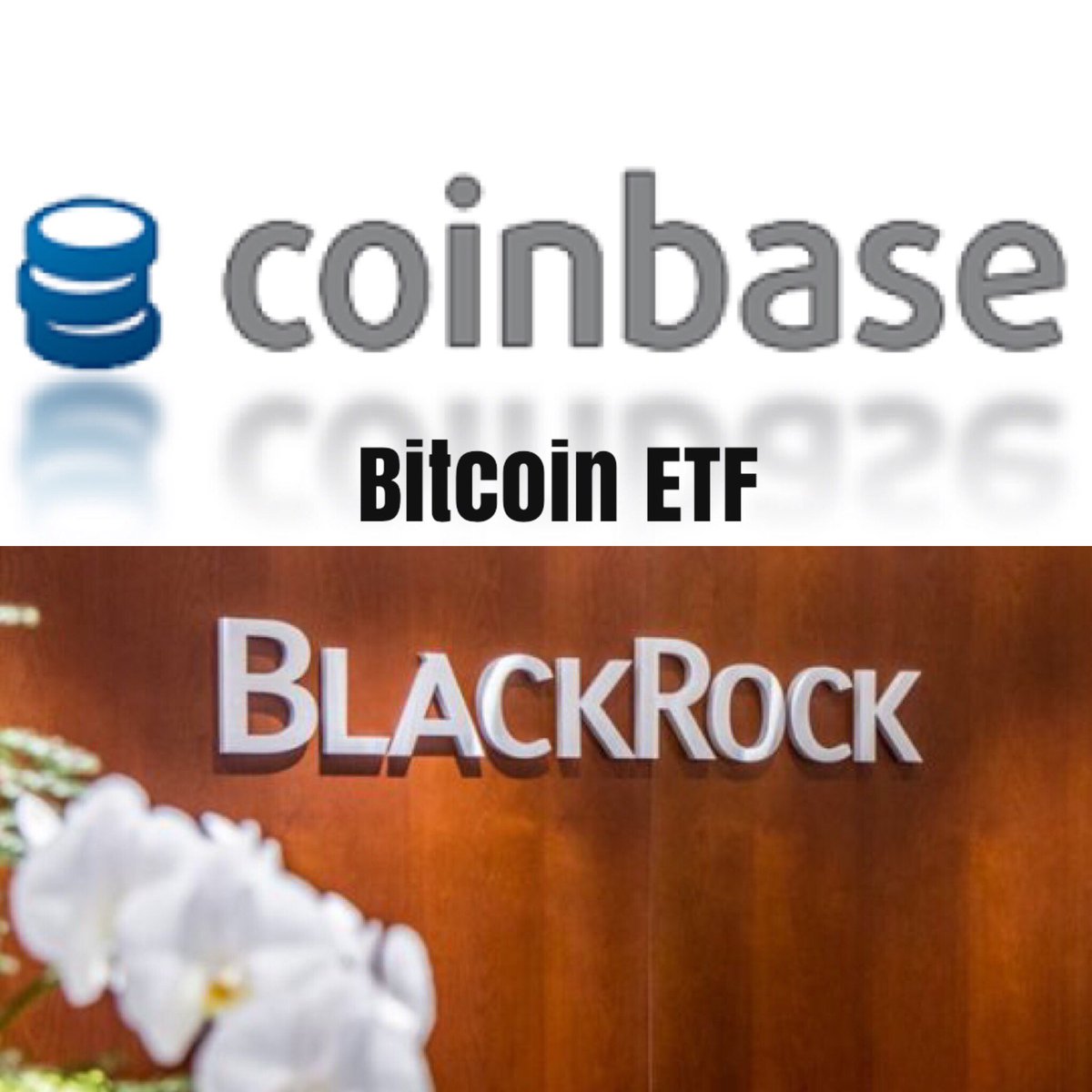 CryptoBoomNews's tweet photo. #Coinbase is exploring a #Bitcoin ETF and it has sought help from $6 trillion Wall Street giant #BlackRock 🚀 https://t.co/3CVpjRmsCg
