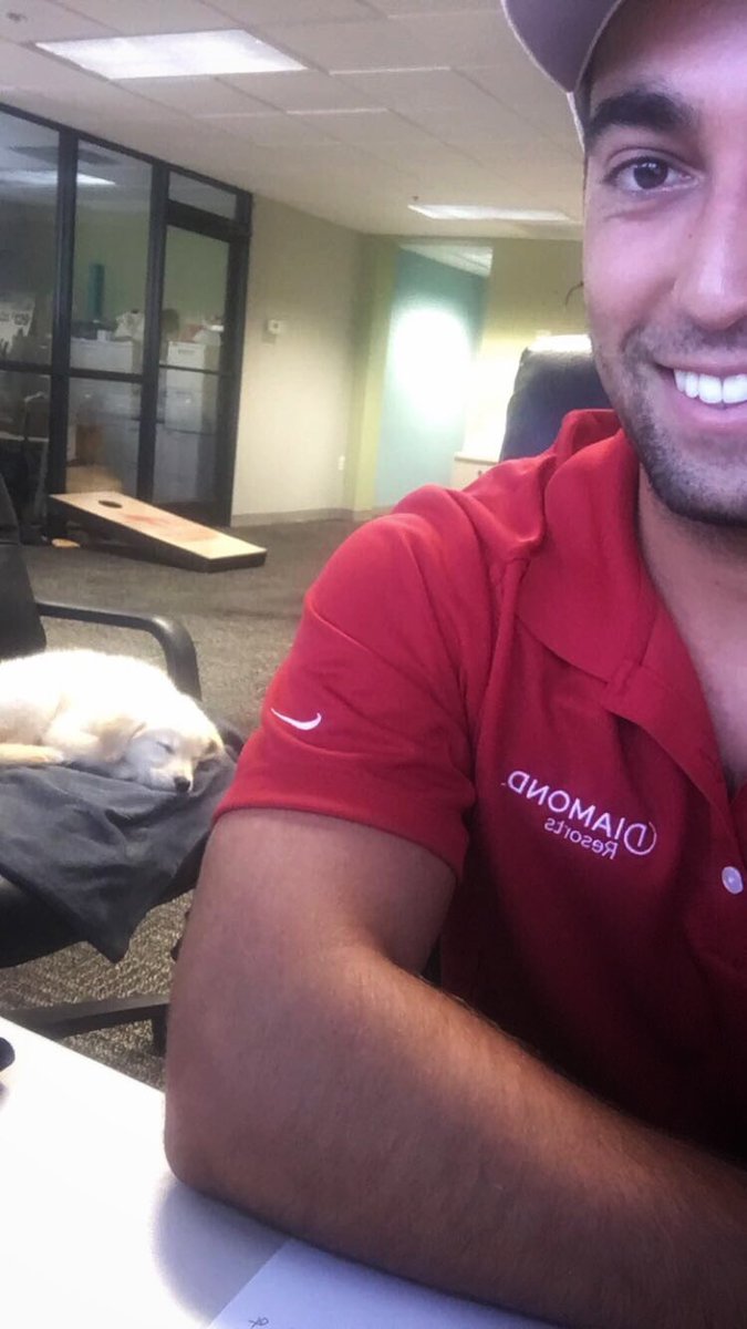 Andre Cabral tweet media