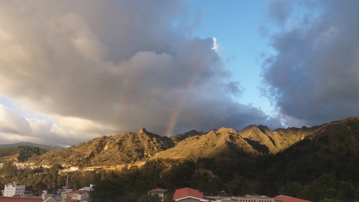 #Loja