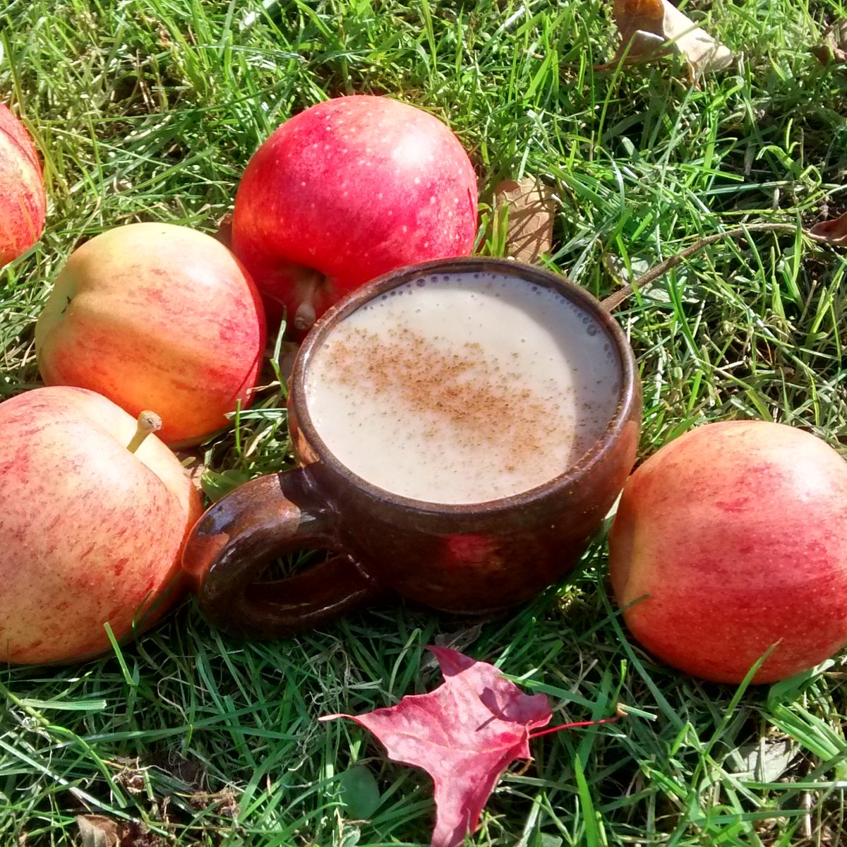 Lait d'automne aux pommes
lavielabouffelereste.blogspot.com/2015/10/lait-d…
#vegan #veganrecipehour #vegandrink #apples