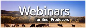 BeefResearch's tweet photo. We will feature webinars on topics including antibiotic use, transport, grazing management, nasal vaccines, and more! Sign up now: https://t.co/kAHJdSbgM3 #beefwebinar https://t.co/rBY2jIO5sV