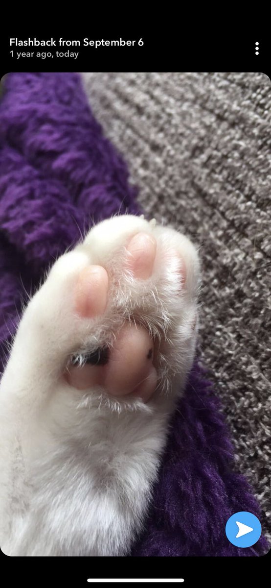 According to my phone, I took this photo exactly a year ago and I just think it’s always important to bring back such valuable content.