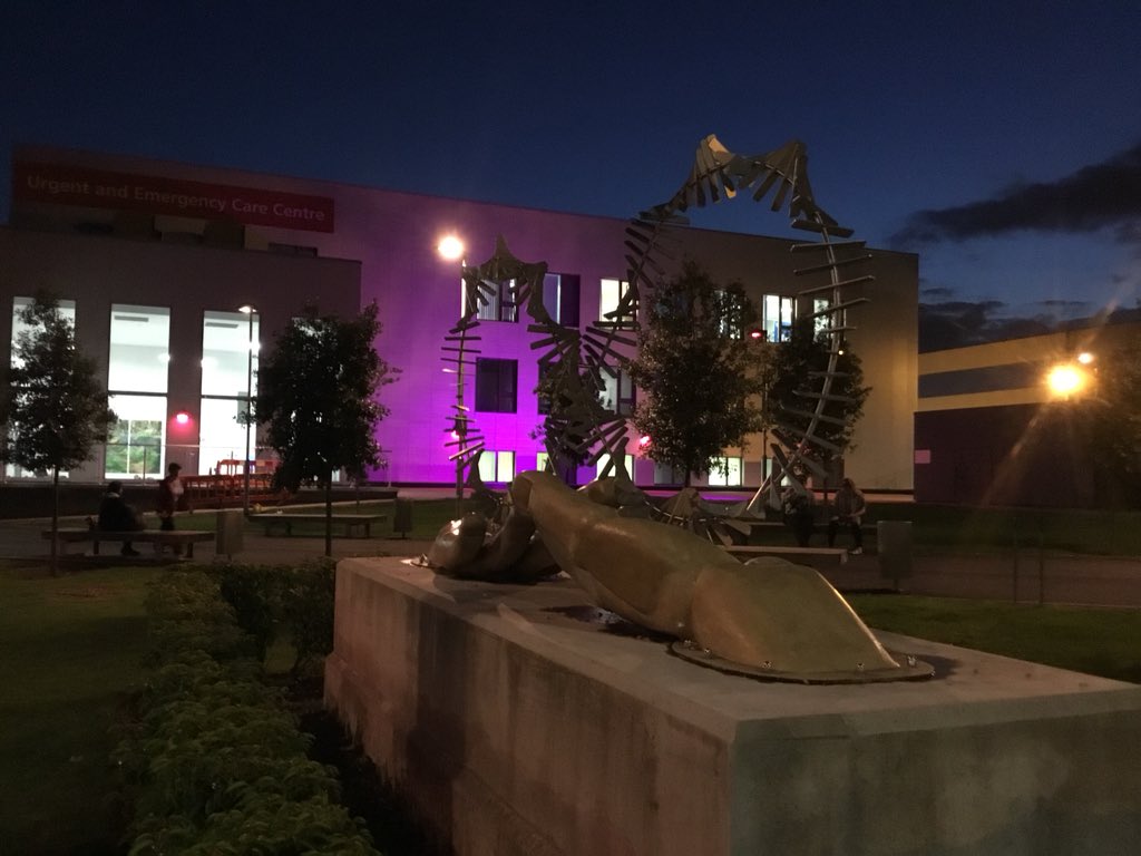 BCOrganDonation's tweet photo. New Cross Hospital in #Wolverhampton have turned #pink in support of #OrganDonationWeek right next to our Donor Memorial. A huge thank you to @Rosco_Labs and @eyreelliston who provided us with lighting to make this happen!
#YesIDonate @NHSOrganDonor @BCOrganDonation https://t.co/gvPpKbssXT