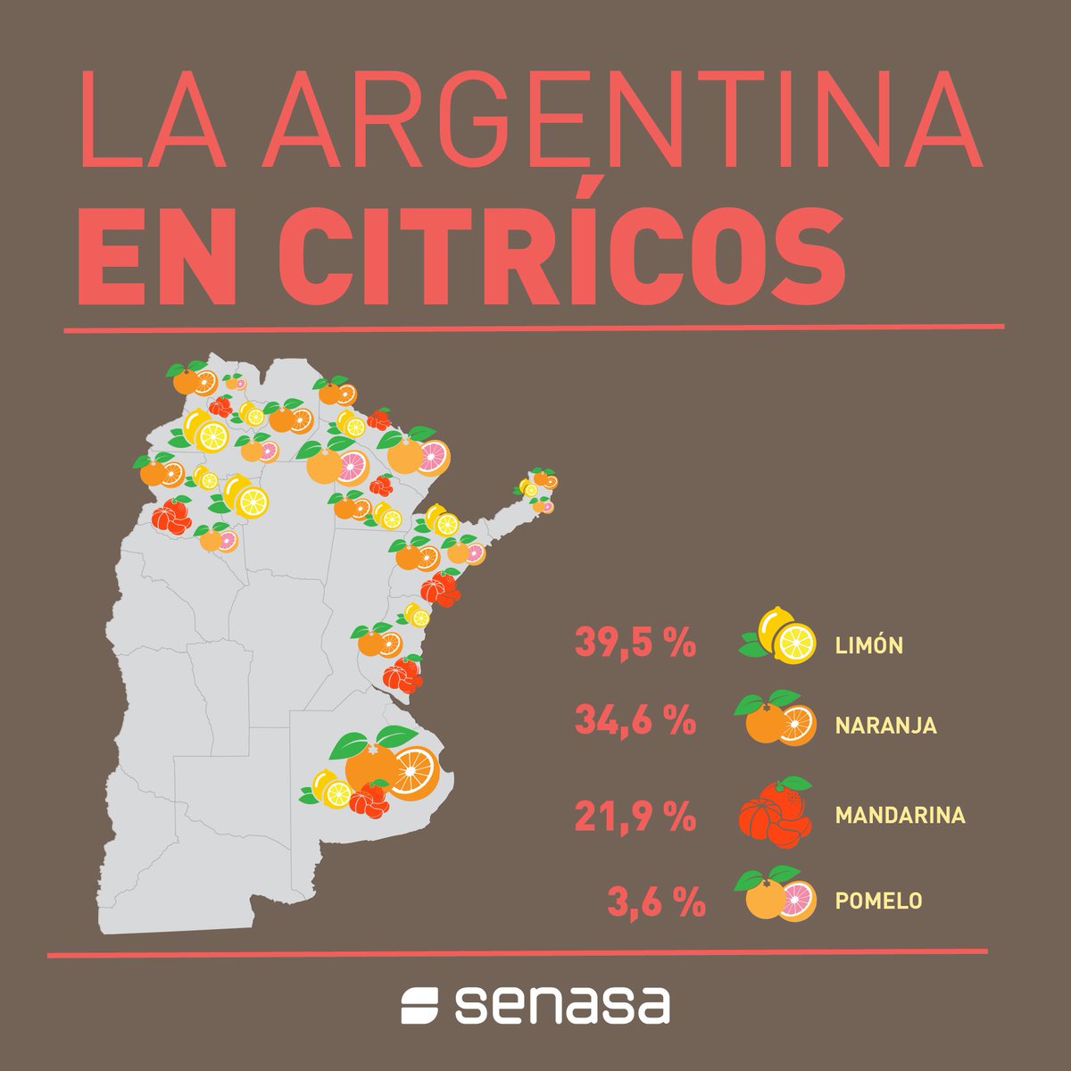SenasaAR's tweet photo. Con una superficie mayor a 135 mil hectáres, la producción de #fruta cítrica nacional equivale a casi dos veces la producción de peras, manzanas, duraznos, ciruelas, pelones y cerezas.
#CuidemosNuestrosCítricos https://t.co/0S05AtOnkB