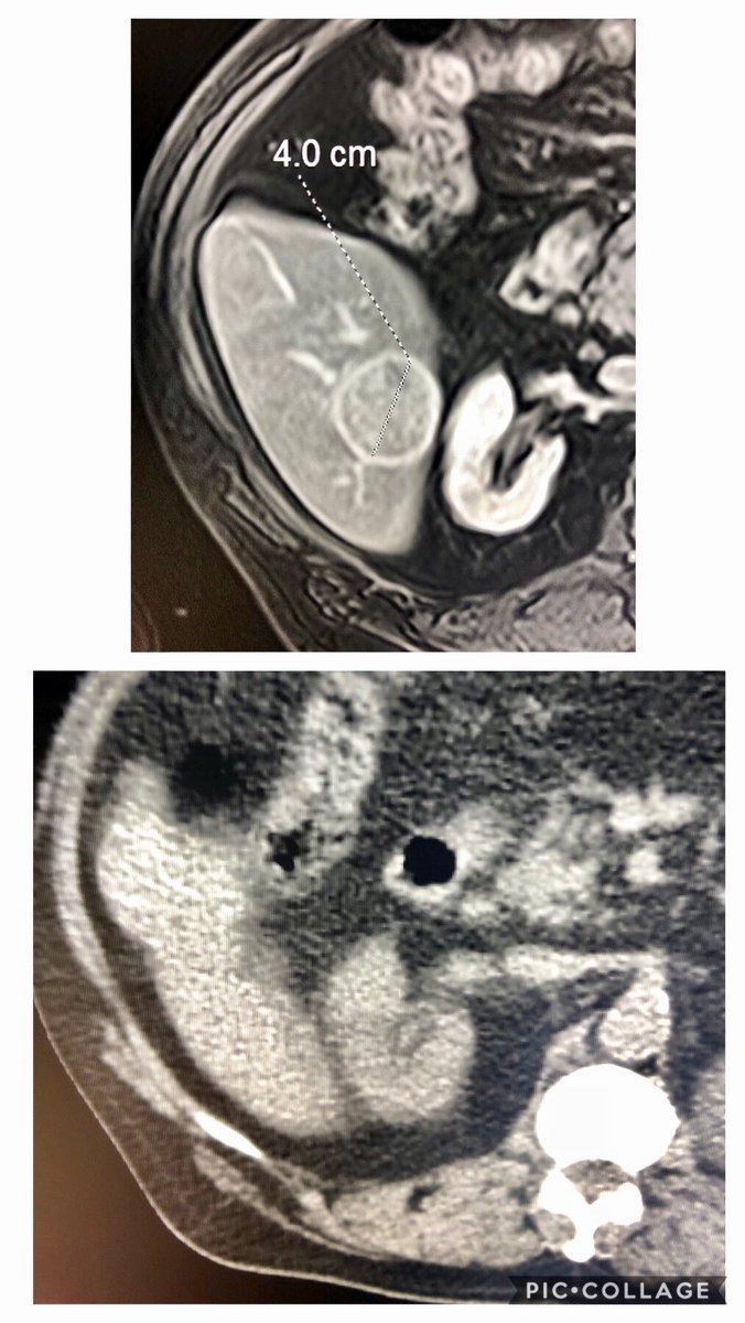 Joshua Tepper tweet media