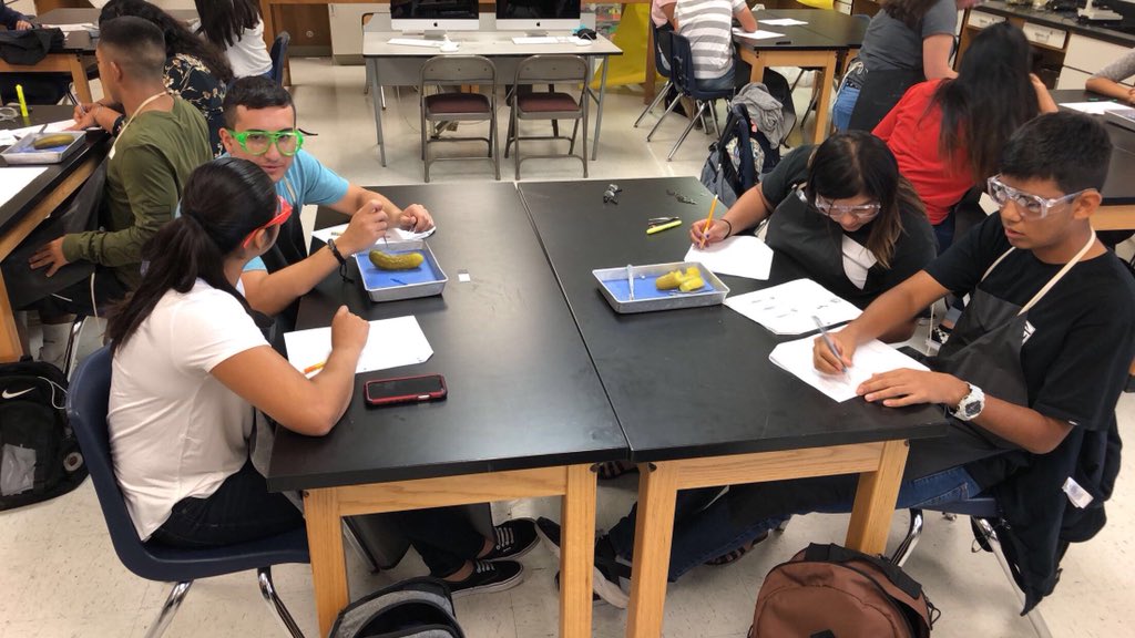 mrsveronicahunt's tweet photo. Coroners performing autopsies today in A&P #cardinalclassrooms #cardinalslearn π©ββοΈπ¨ββοΈ https://t.co/74jm2Udchq