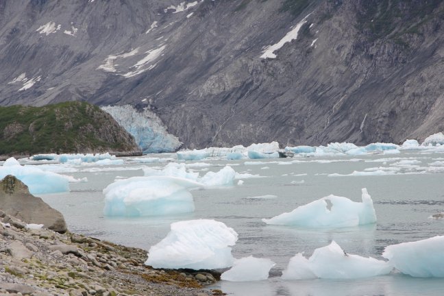 bearsNwhales's tweet photo. Just published the second installment about our solo #kayaking adventure in the East Arm of #GlacierBay, #Alaska. Privilege to be so close to this magnificent spectacle. https://t.co/MhC1qCui8V https://t.co/062V9ri8ZL