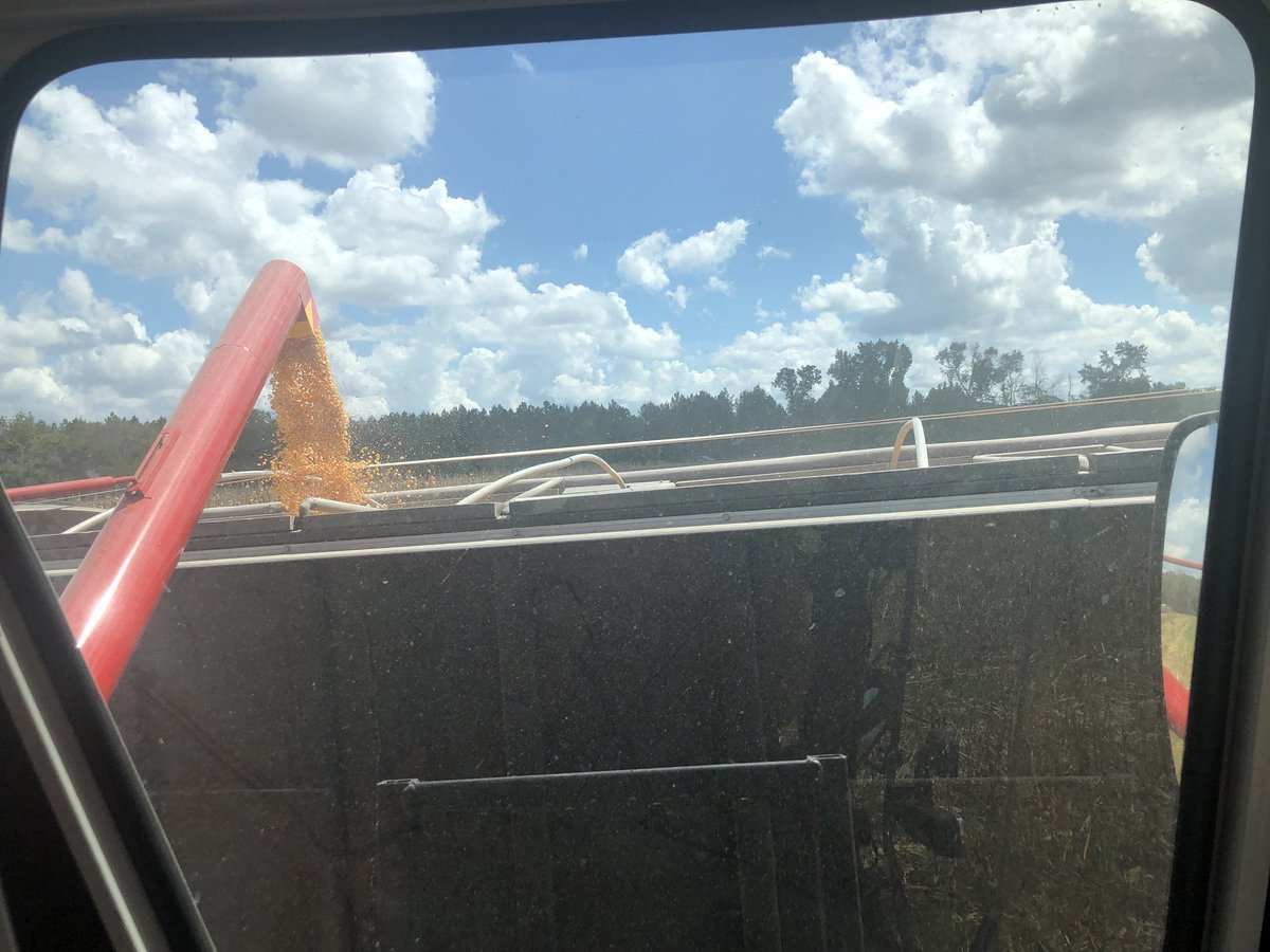 NC OVT Program tweet media