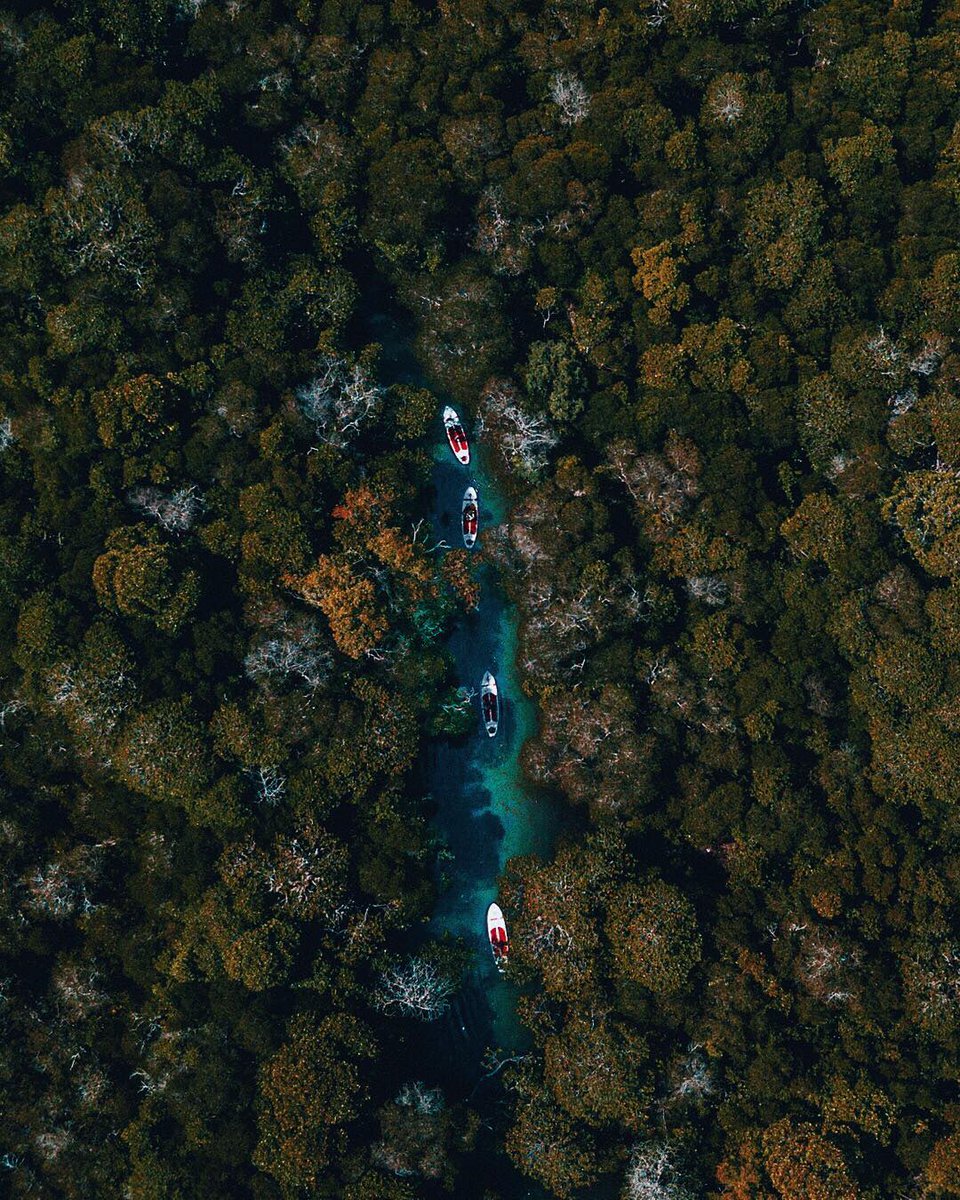 Stand up paddle boarding through the mangrove forest at Mida creek in Watamu. Photo by @The_Mentalyst
