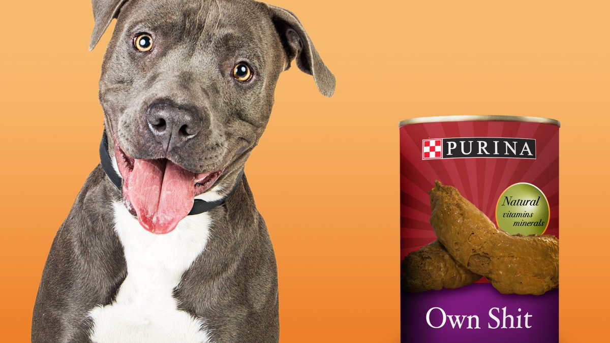TheOnion's tweet photo. Purina Introduces ‘Own Shit’ Dog Food Flavor https://t.co/H5XSbt1tG6 https://t.co/sn6taCdAPI
