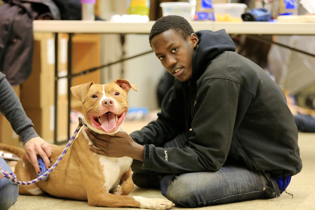 tailsmagazines's tweet image. The philosophy behind @SafeHumane's Lifetime Bonds program is that compassion can be learned. And once it has, it can change you forever. bit.ly/2o3KiHw