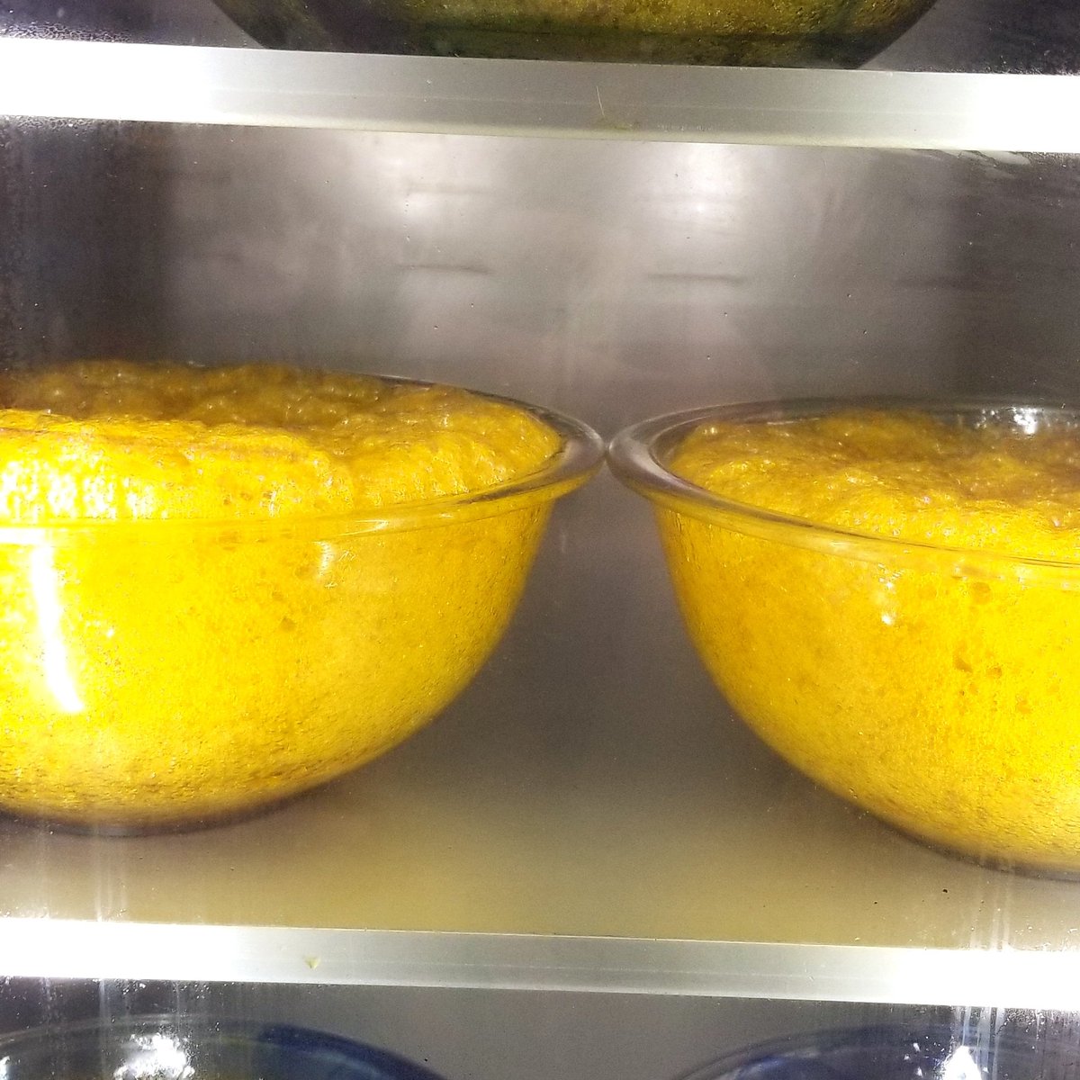 claywolf710's tweet photo. Look what's cooking in our ovens.
The beautiful process of
"The Muffin"
#ClayWolf #TopShelf #GoodInGoodOut #Terps
Do not operate a vehicle or machinery under the influence of this drug.
For use by adults twenty one years of age or older.
Keep out of the reach of children https://t.co/pFJCKbq9AA