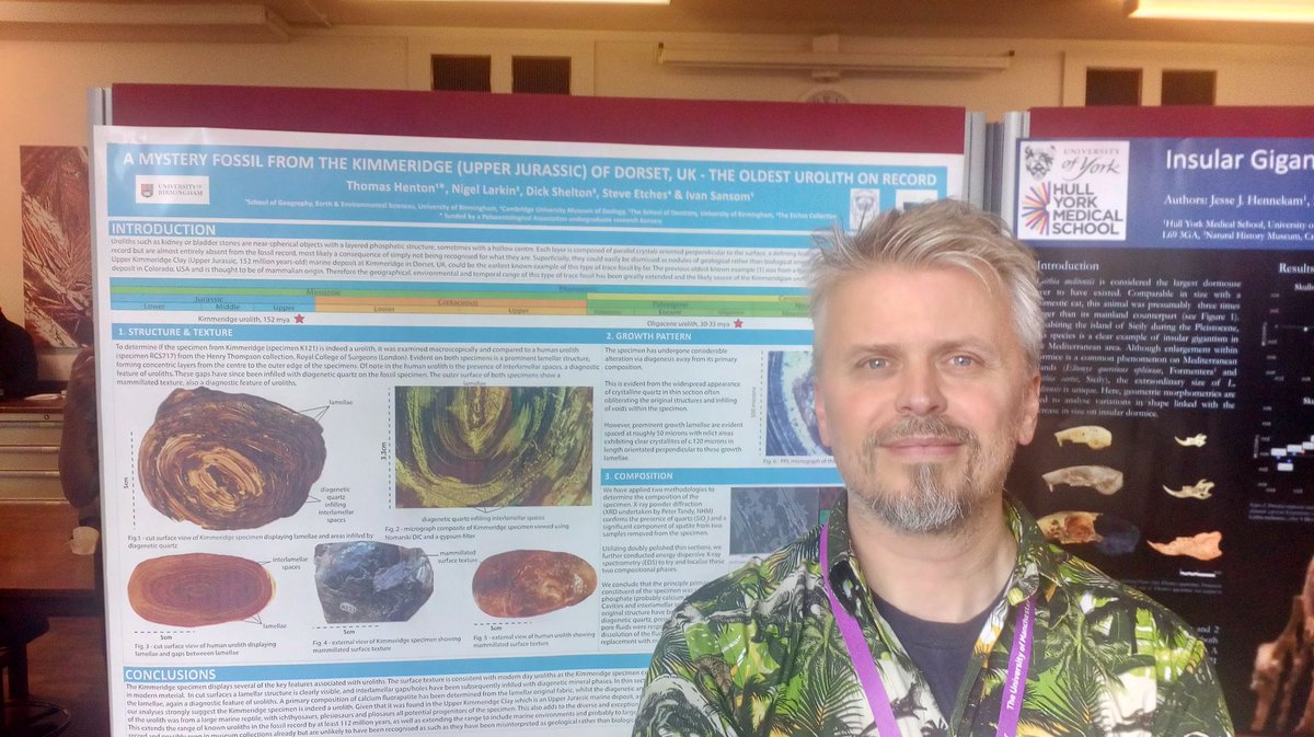 MrIchthyosaurus's tweet photo. Obligatory #Poster #Selfie - and our #fossil #urolith #Poster being judged at #SVPCA2018 in #Manchester #ILoveMyJob #science #Palaeontology @etchescollect https://t.co/xP7k51De7Z