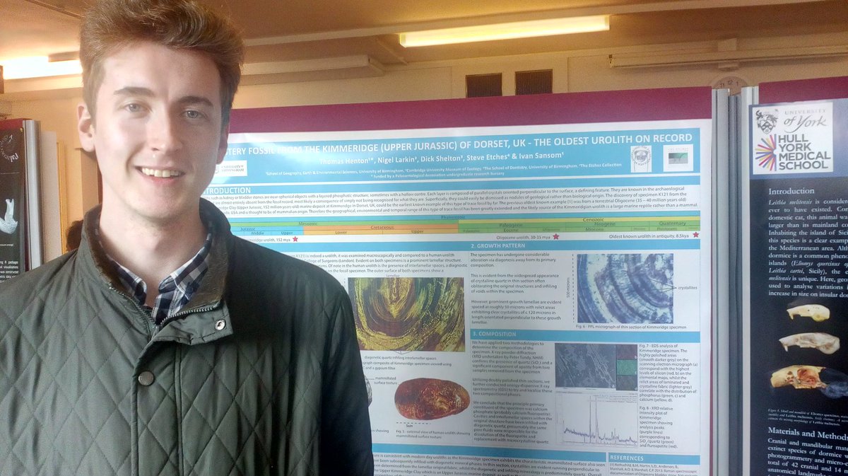 MrIchthyosaurus's tweet photo. Obligatory #Poster #Selfie - and our #fossil #urolith #Poster being judged at #SVPCA2018 in #Manchester #ILoveMyJob #science #Palaeontology @etchescollect https://t.co/xP7k51De7Z